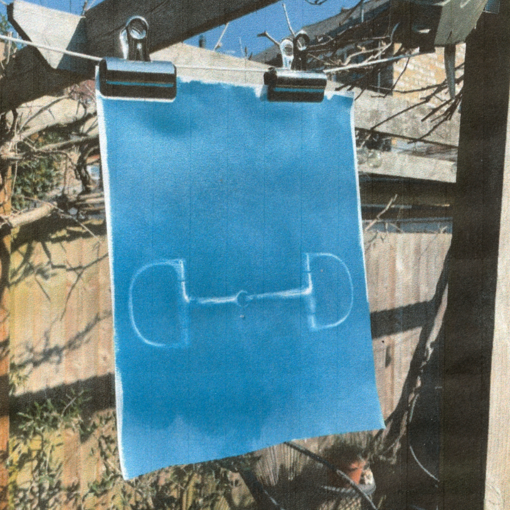 Art Director Holly Titchener on the design of Akoya's poetry